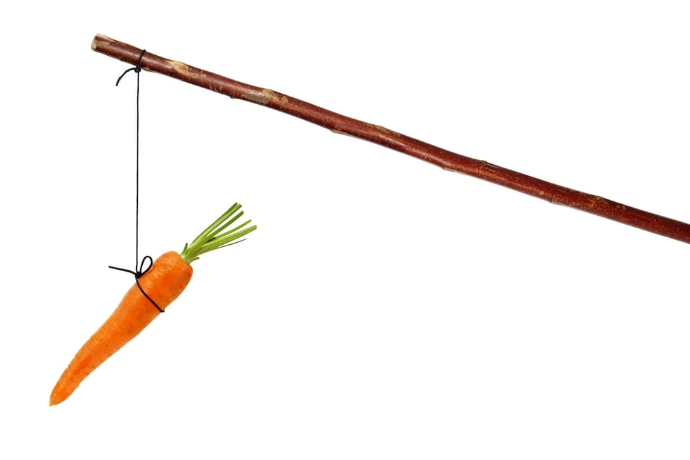 Carrots, sticks and Donkeys do improve cyber security, part 1