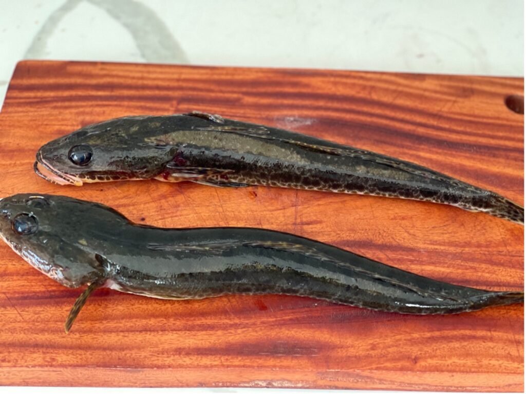 Sugar And Statistics, sprinkles of nothingness