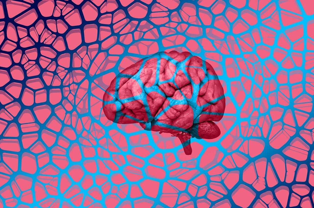 brain, network, web-6583627.jpg