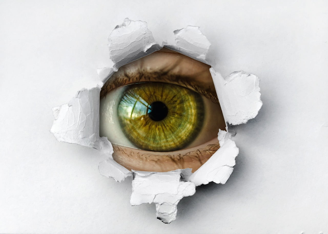 spying, eye, spy-4270361.jpg