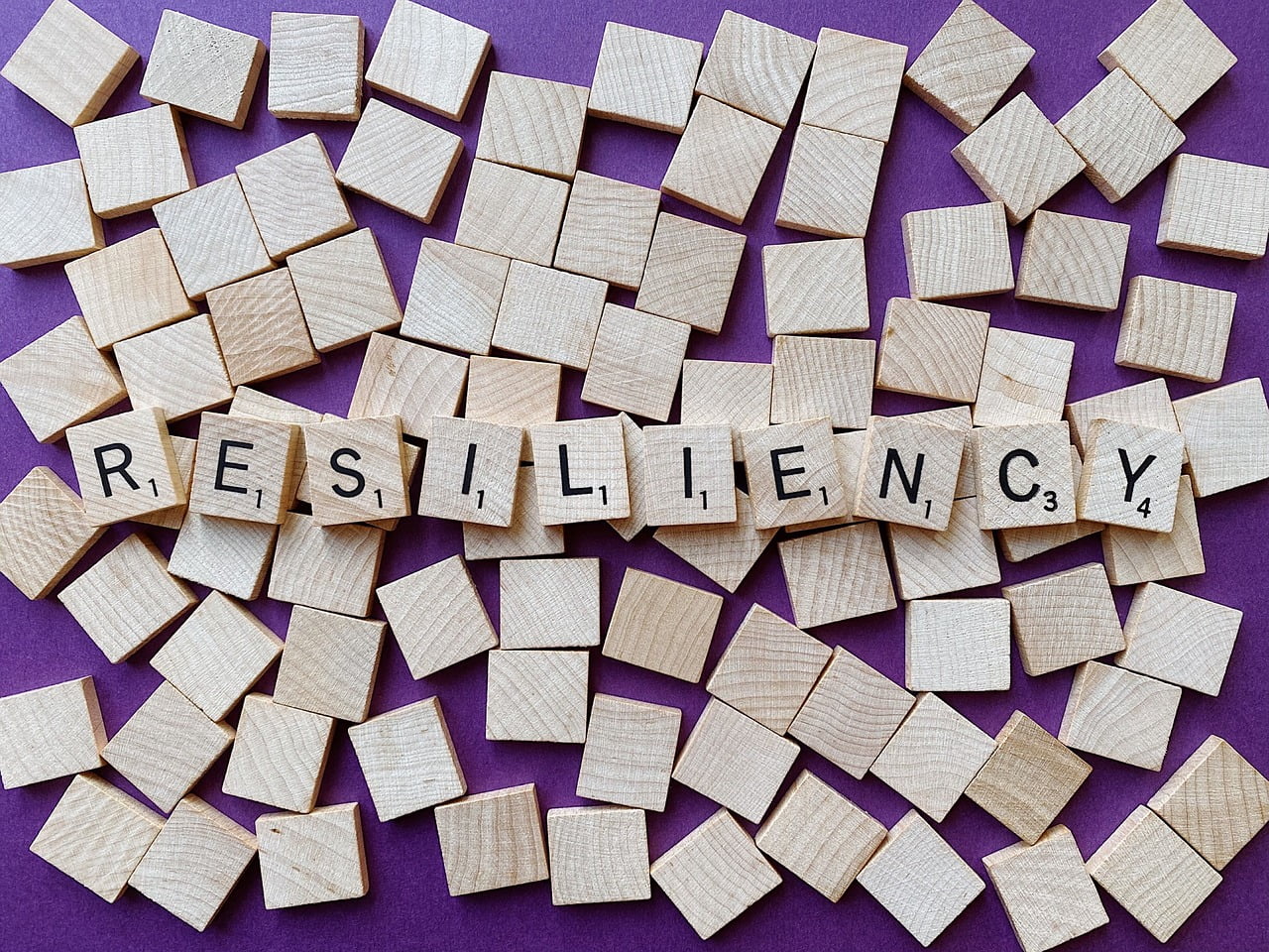 resilient, resiliency, resilience-4899283.jpg